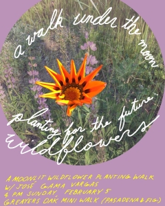 http://serenacaffrey.com/files/gimgs/th-19_Planting_for_the_Future-Wildflowers.jpeg